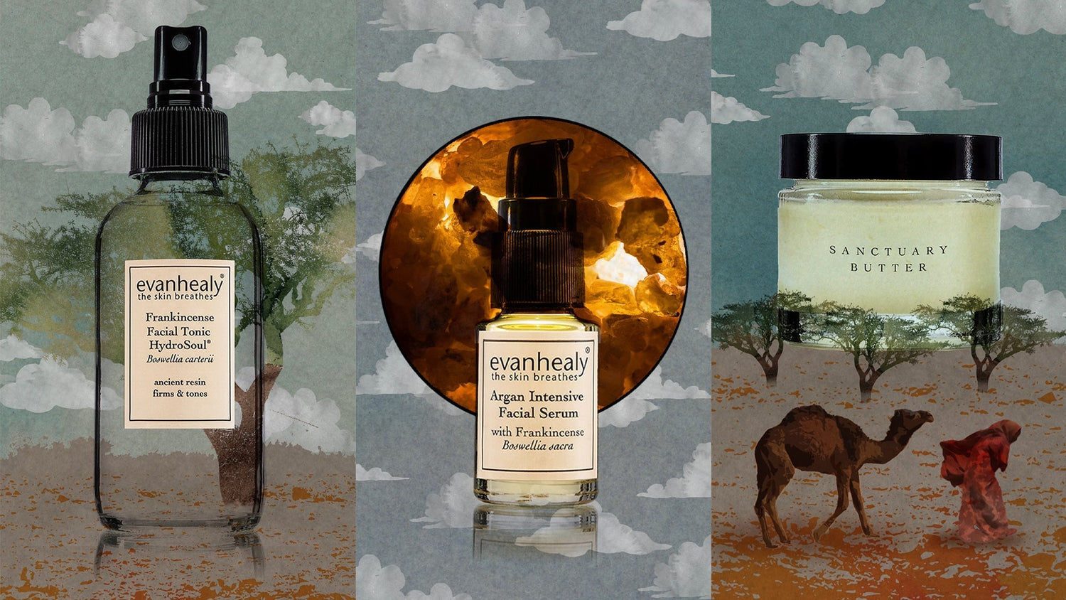 Three evanhealy skincare products displayed over a stylized desert collage with clouds, trees, and a walking camel