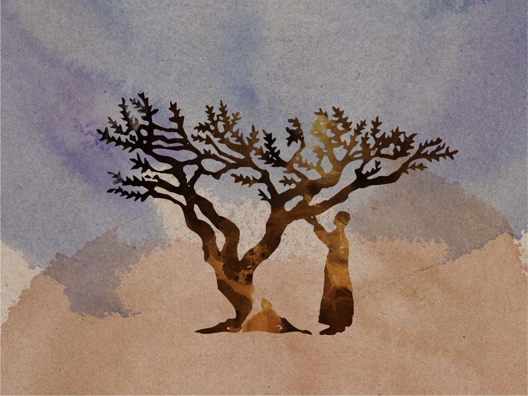 Figure reaching into the branches of a frankincense tree, watercolor silhouette on a textured paper background