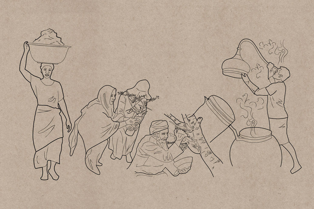 Illustration of people planting, tending, harvesting, and distilling medicinal plants, sketch on kraft paper background