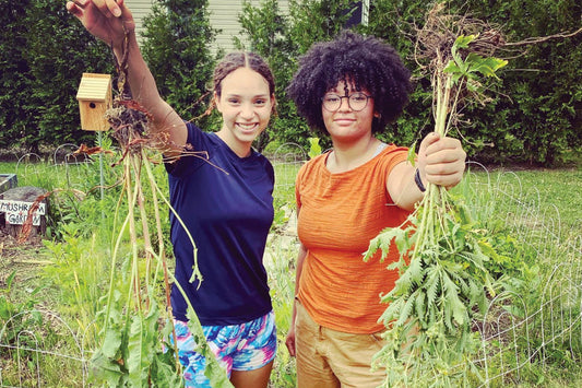 Two smiling people holding freshly pulled plants with roots in a backyard garden