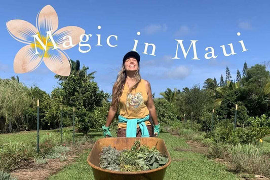 Woman pushing a wheelbarrow of harvested herbs through a sunny Maui garden with overlaid text ‘Magic in Maui’