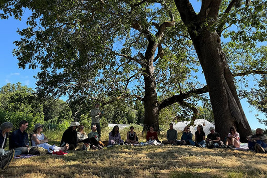 Group of people seated in a circle under large oak trees at Banyan Farm on a sunny day