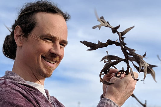 Man smiling and holding a dried branching plant close to his face against a blue sky