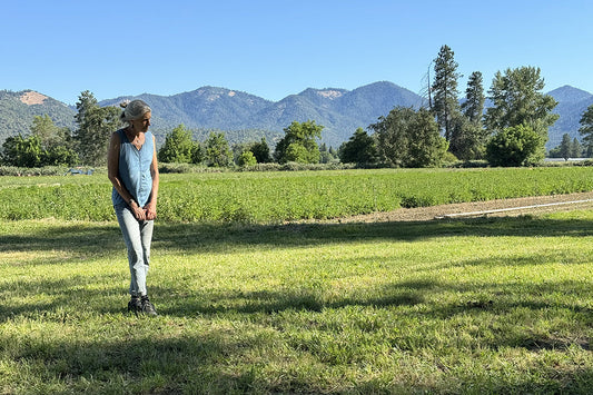 Woman standing in a sunlit grassy field, looking down, with rows of crops and forested mountains in the background
