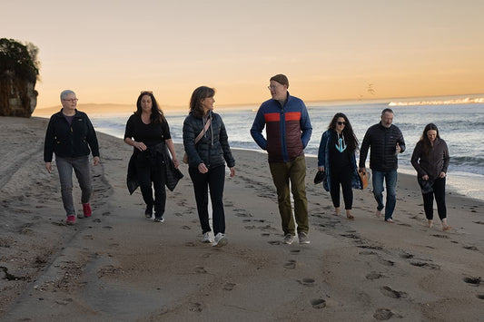 Seven people walking along a beach at sunset, talking and leaving footprints in the sand