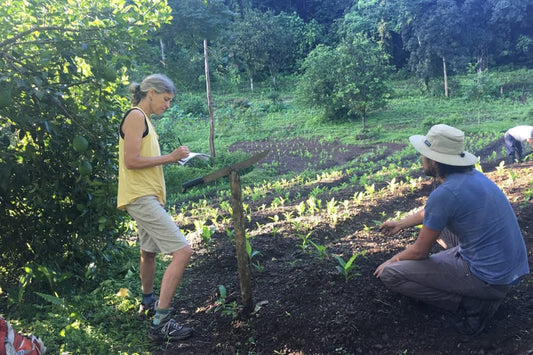 Woman taking notes beside young crop rows while a man in a hat kneels pointing at seedlings in a sunlit farm field