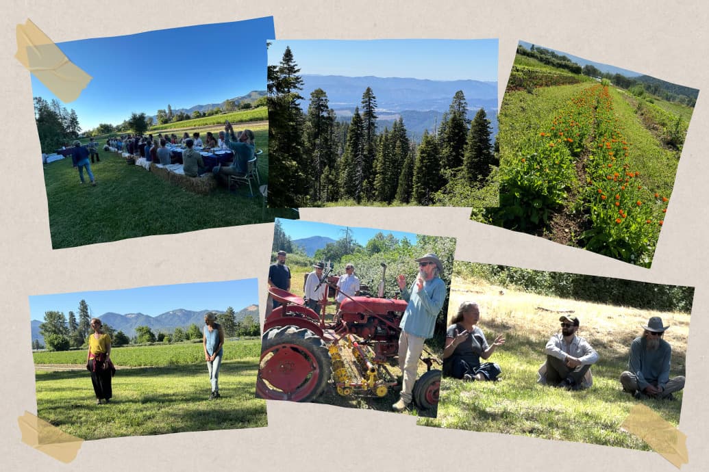 Collage of farm visit: outdoor long-table dinner, mountain and forest views, herb rows, speaker by tractor, people on grass