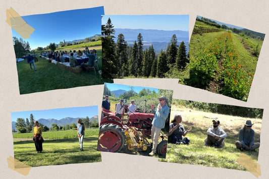 Collage of farm visit: outdoor long-table dinner, mountain and forest views, herb rows, speaker by tractor, people on grass