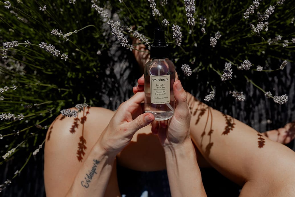 Hands holding an Evanhealy Lavender Hydrosol bottle over crossed legs surrounded by blooming lavender
