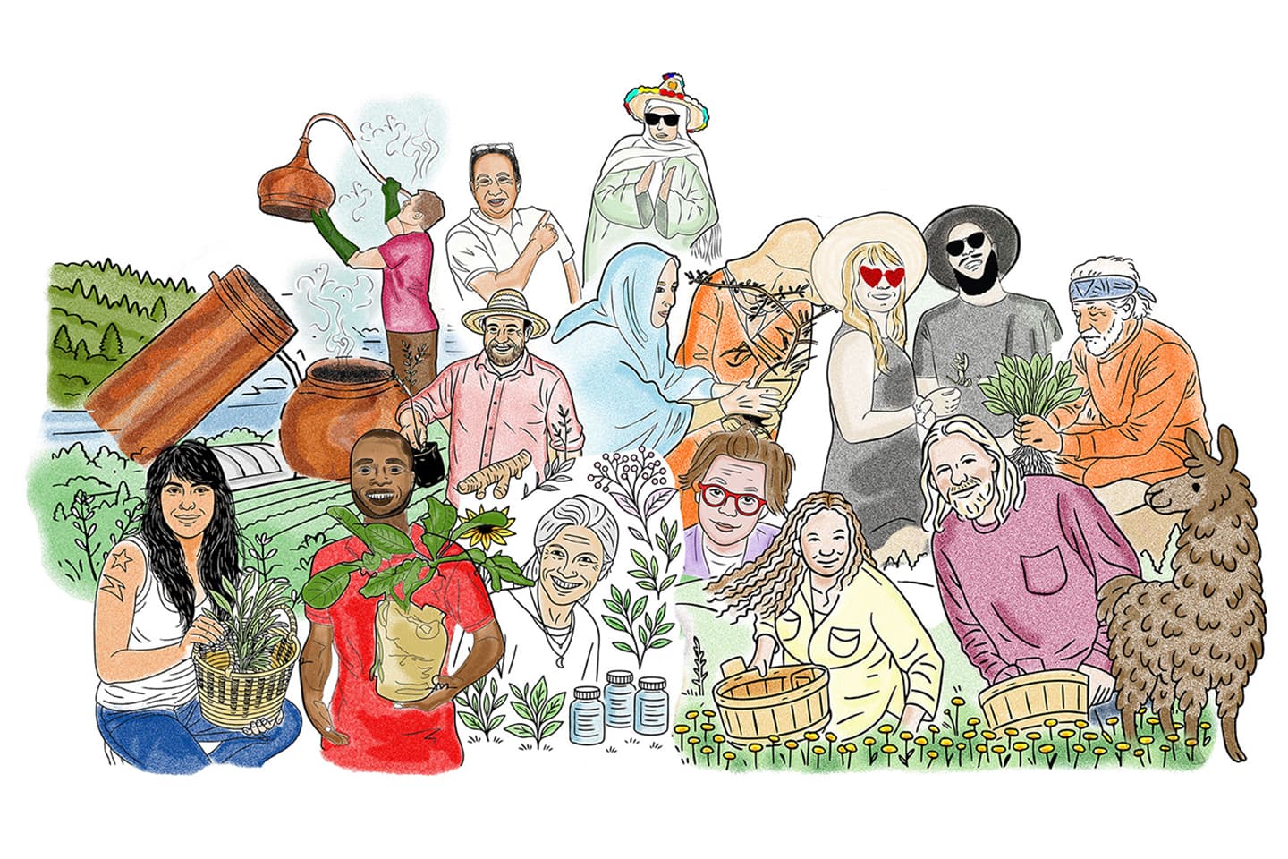 Illustrated group harvesting and holding herbs, plants, baskets and a distillation still in a pastoral stewardship scene
