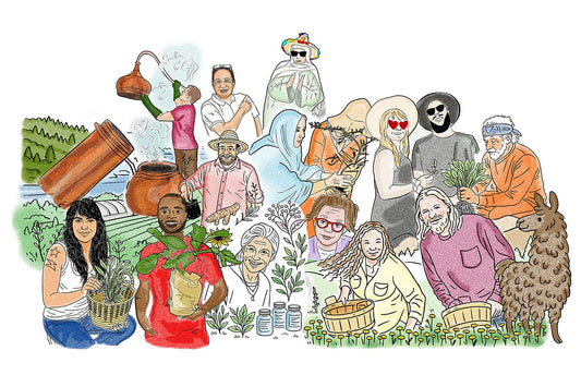 Illustrated group harvesting and holding herbs, plants, baskets and a distillation still in a pastoral stewardship scene