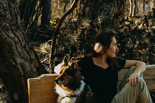 Woman sitting on a wooden bench with her dog, looking toward a sunlit pine forest