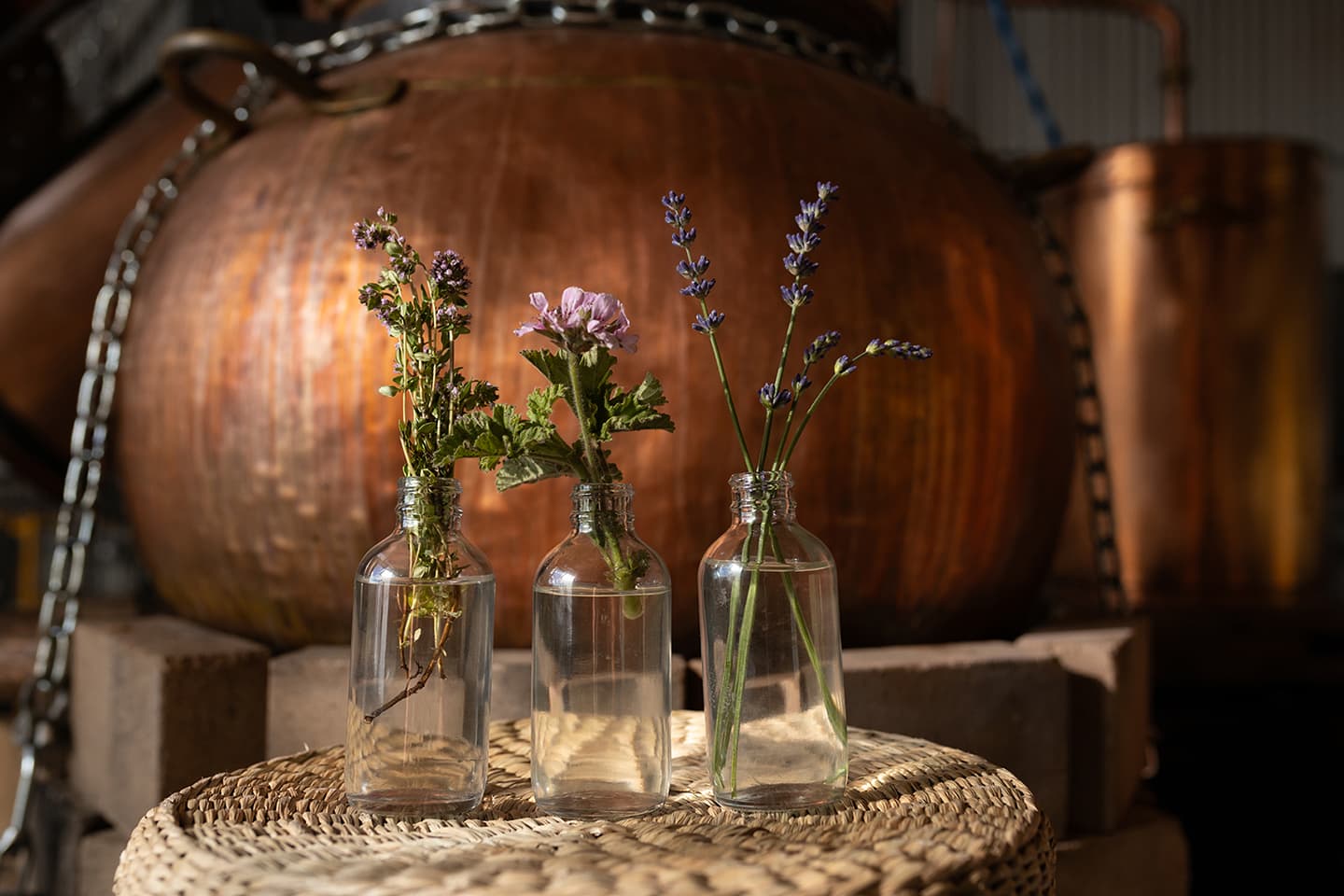 Three small glass bottles holding herb sprigs and lavender on a woven mat in front of a copper distillation still