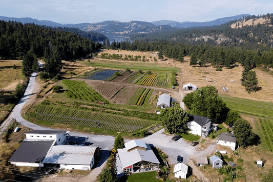 Aerial view of a farm with cultivated fields, greenhouses, buildings, and forested mountains