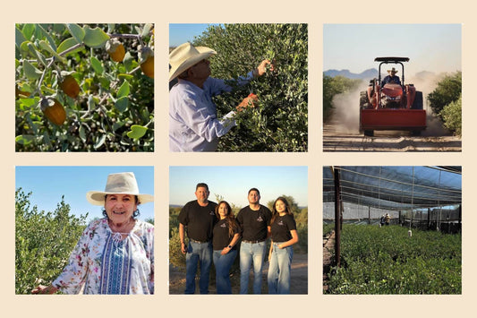 Meet Our Regenerative Organic Certified® Jojoba Stewards