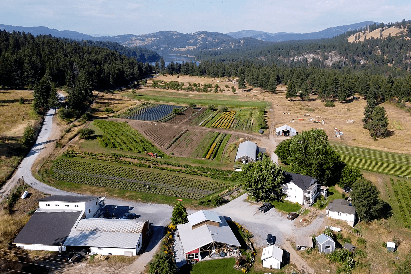 Reflections on our farm gathering.