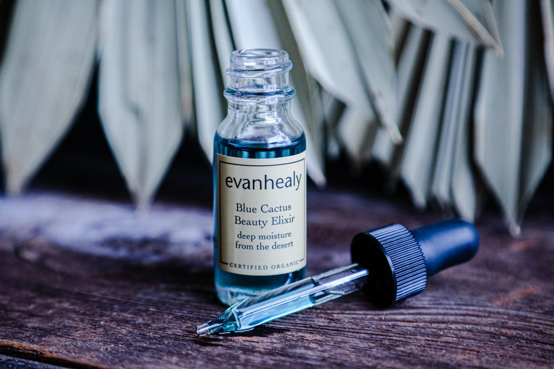 Introducing Blue Cactus Beauty Elixir