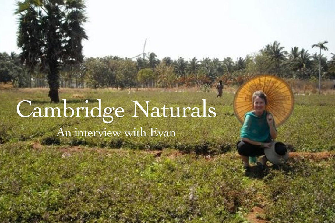 Cambridge Naturals: An Interview with Evan Healy