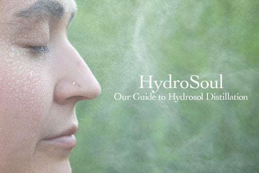 HydroSoul Skin Care Resources