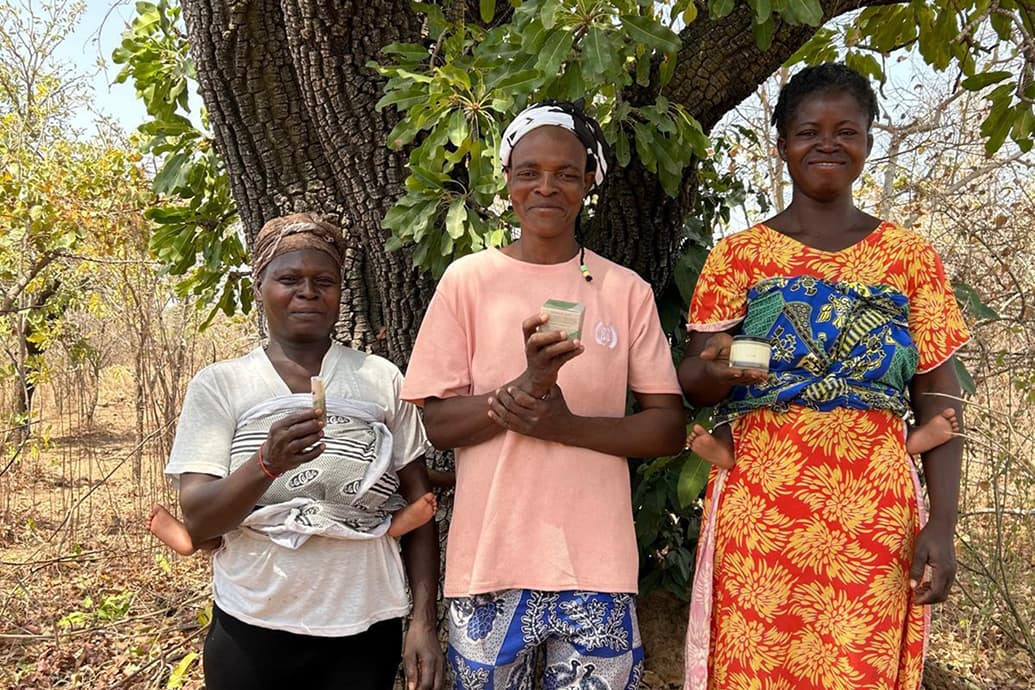  shea collection team in front of a shea tree