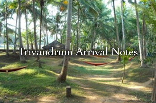 Trivandrum Arrival Notes & Ayervedic Skin Care