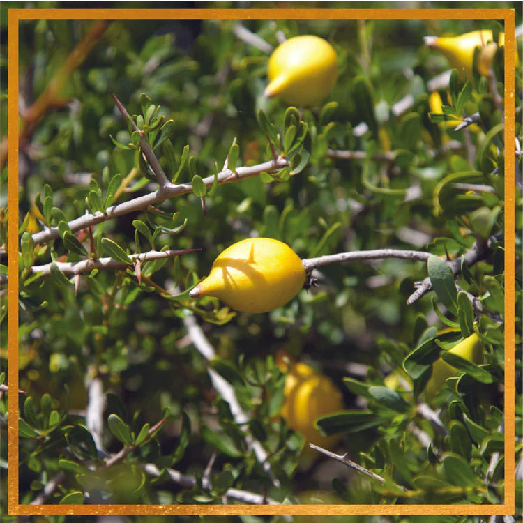 Made with argan