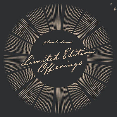 Celestial energy shapes our limited-edition offerings