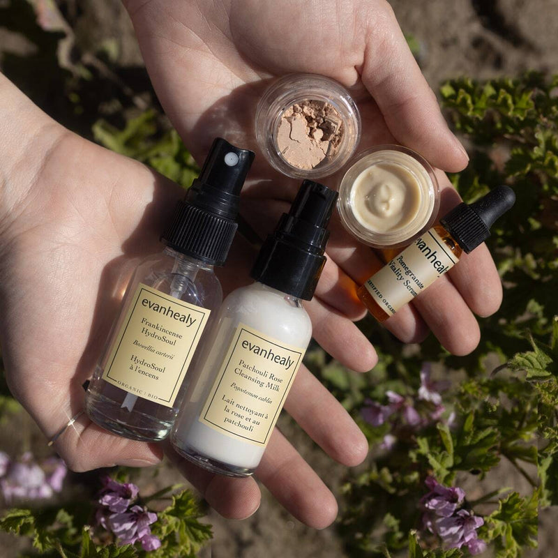 Revitalizing Starter