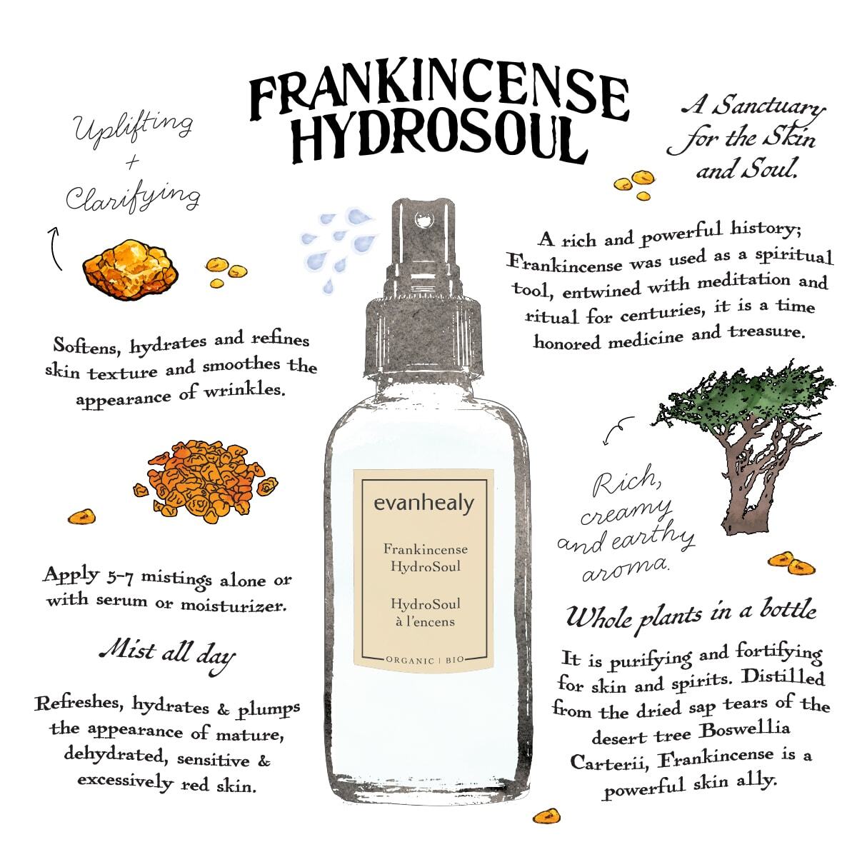 Frankincense HydroSoul