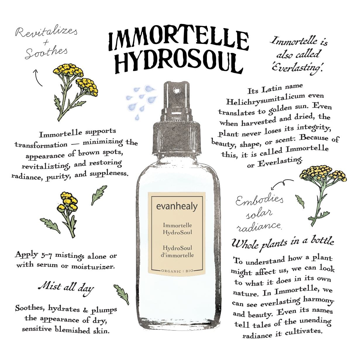 Immortelle HydroSoul