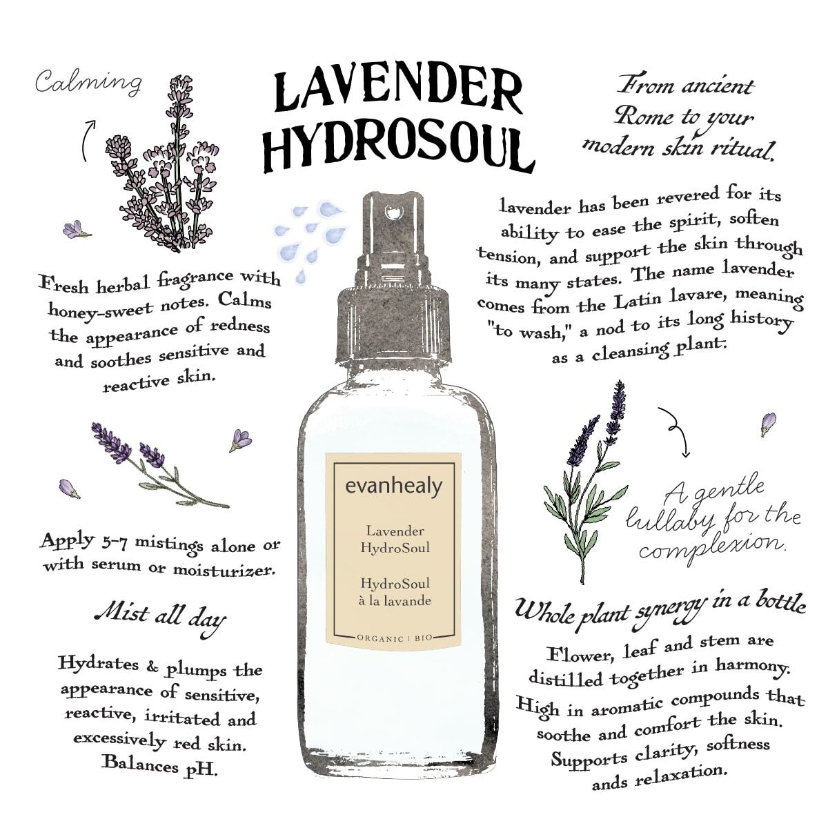 Lavender HydroSoul