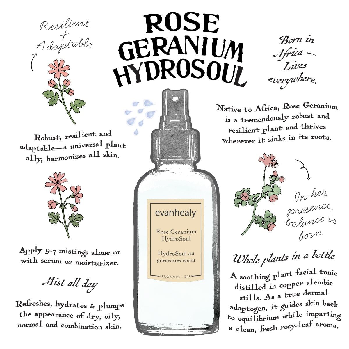 Rose Geranium HydroSoul