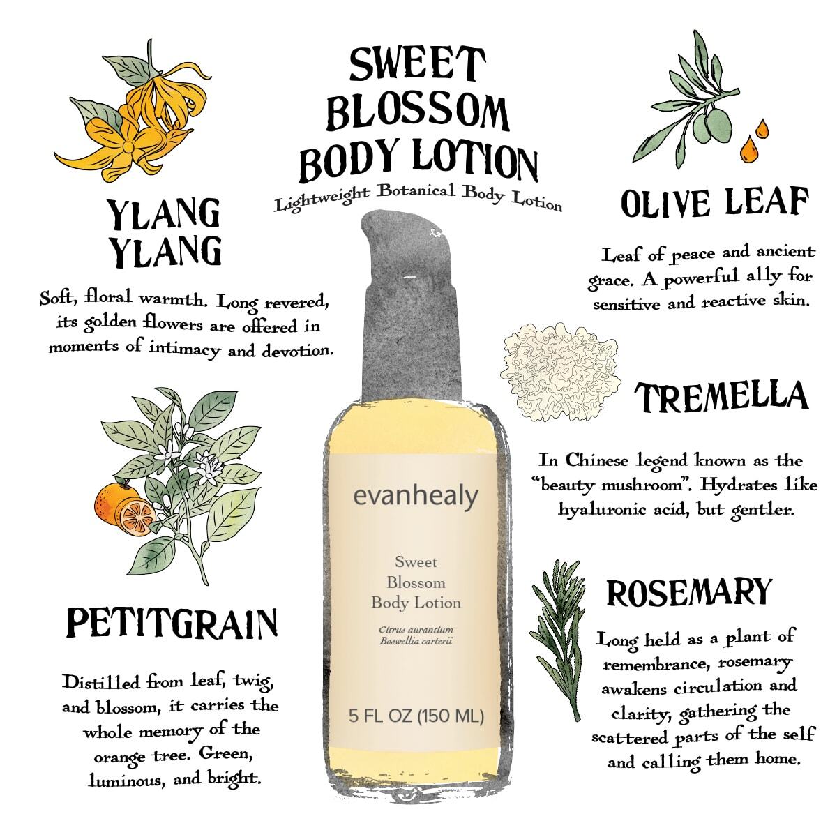 Sweet Blossom Body Lotion