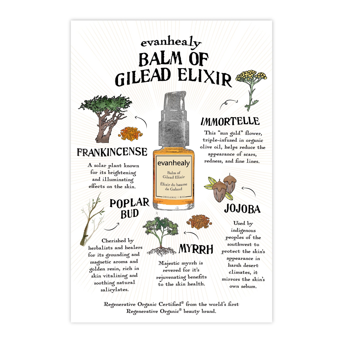 Folklore Card - Balm of Gilead