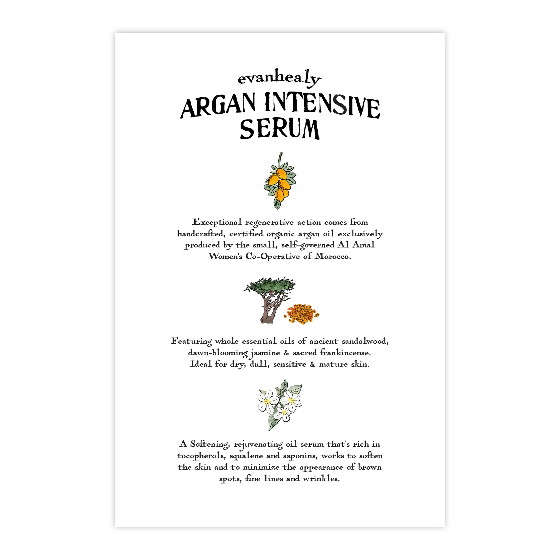 Back view of 4x6 Argan Intensive Serum folklore postcard showcasing printed text on a white background