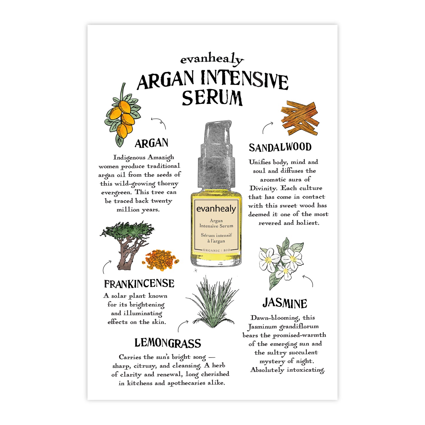 Front view of Argan Intensive Serum folklore postcard showcasing botanical illustrations and a serum bottle on a white background