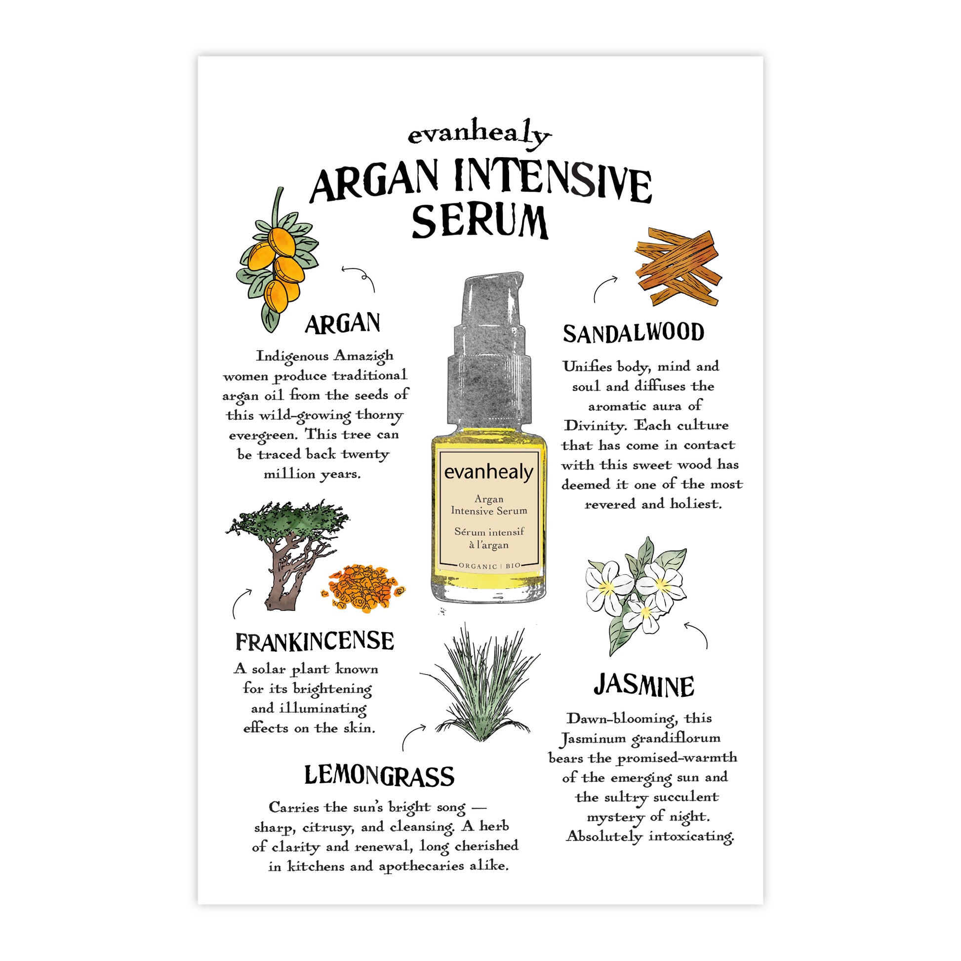 Front view of Argan Intensive Serum folklore postcard showcasing botanical illustrations and a serum bottle on a white background