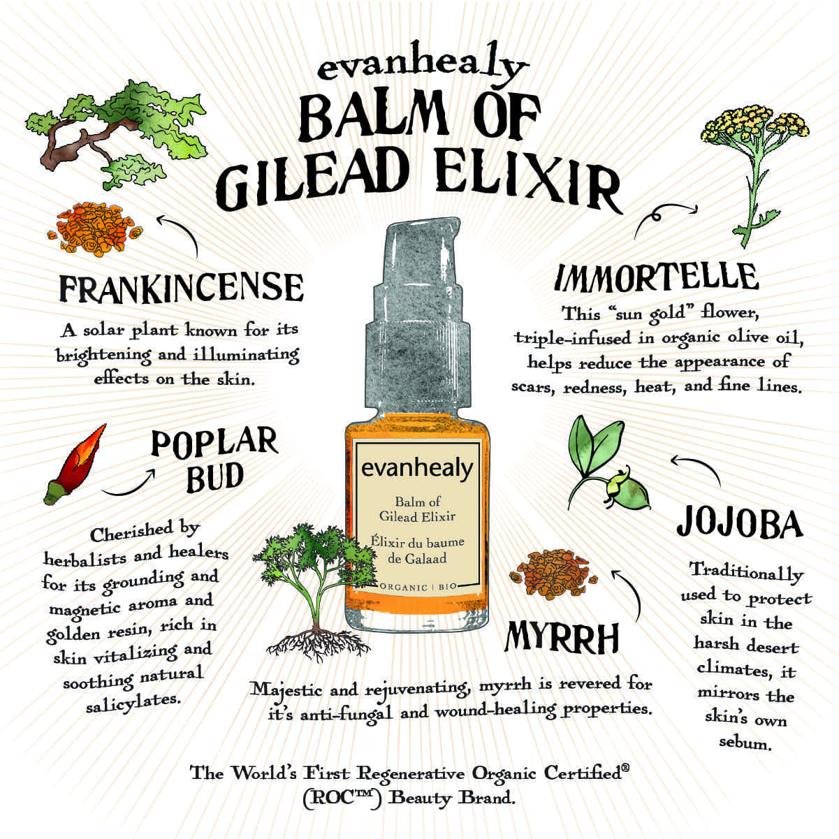 Balm of Gilead Elixir folklore card featuring frankincense, immortelle, jojoba, myrrh, and the product bottle