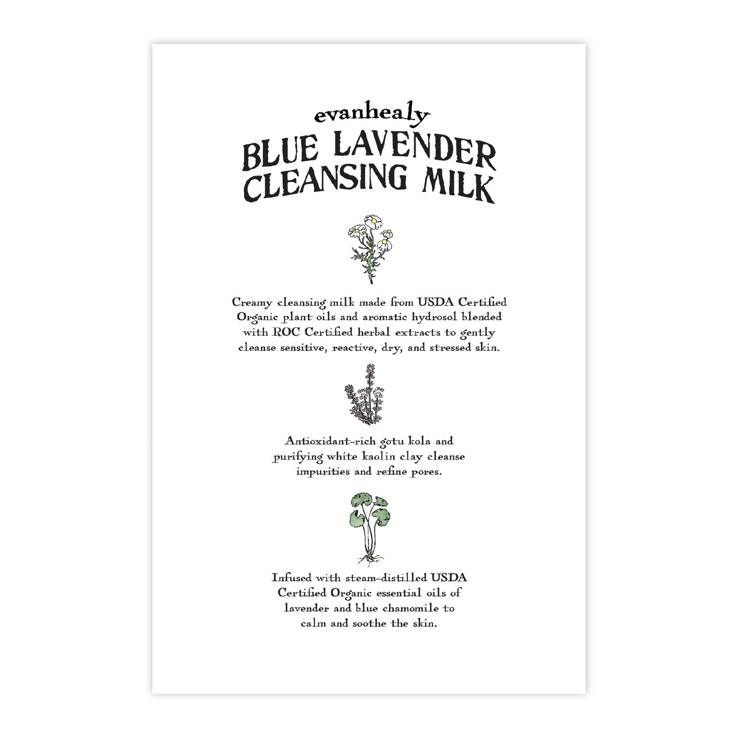 Back of Blue Lavender Cleansing Milk postcard with product information and botanical lavender illustrations