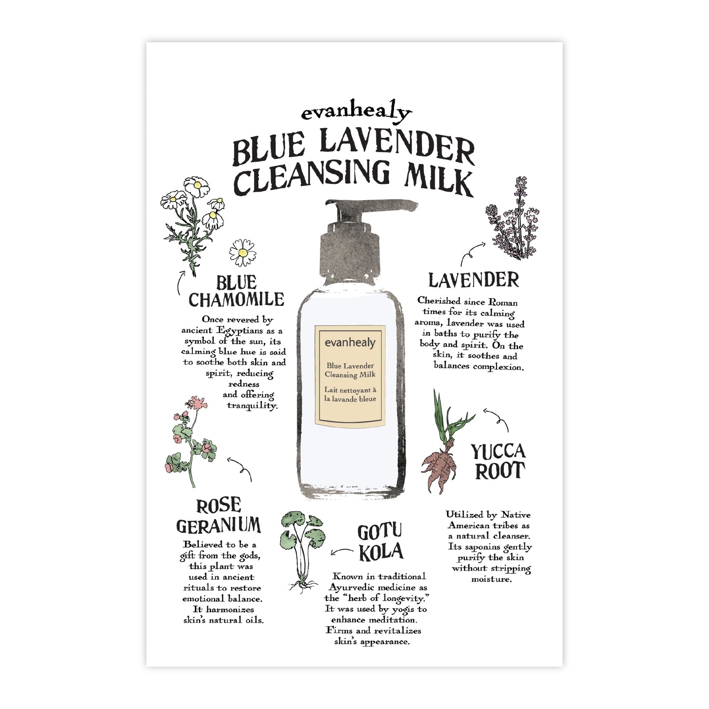 Front view of Blue Lavender Cleansing Milk Folklore 4x6 postcard showcasing botanical illustrations and a cleansing milk bottle