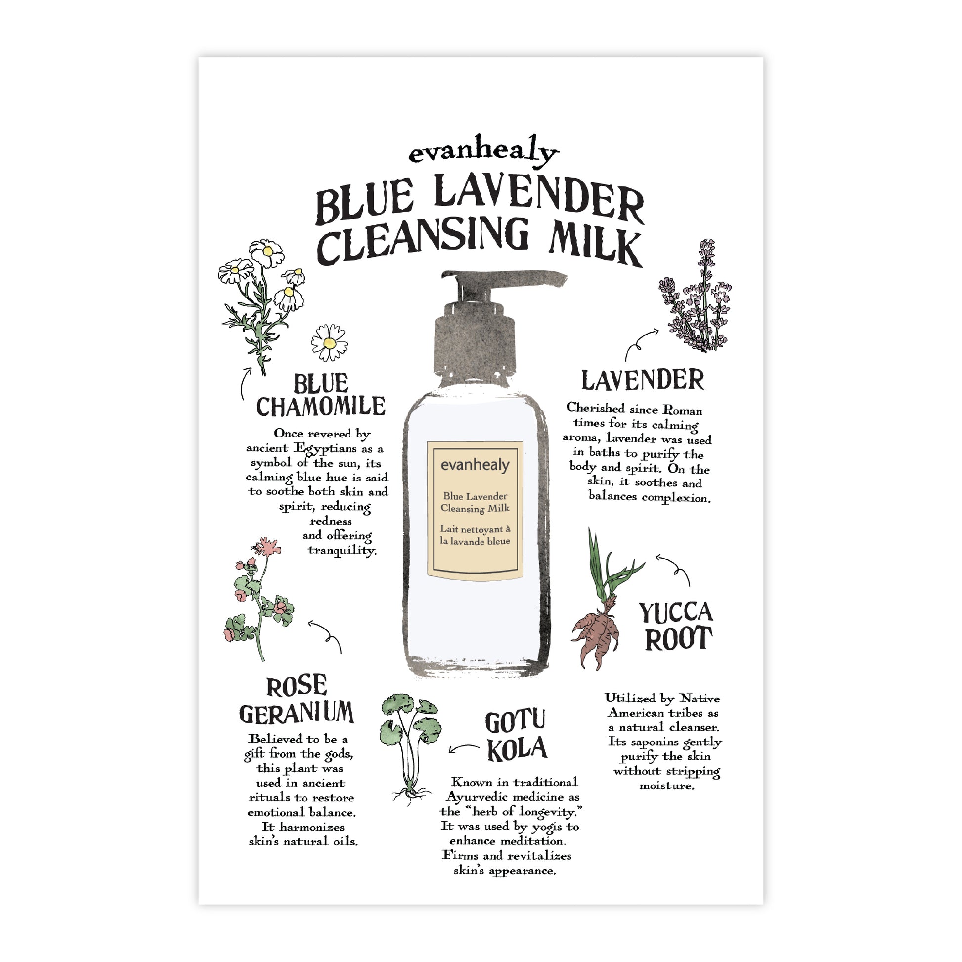 Front view of Blue Lavender Cleansing Milk Folklore 4x6 postcard showcasing botanical illustrations and a cleansing milk bottle