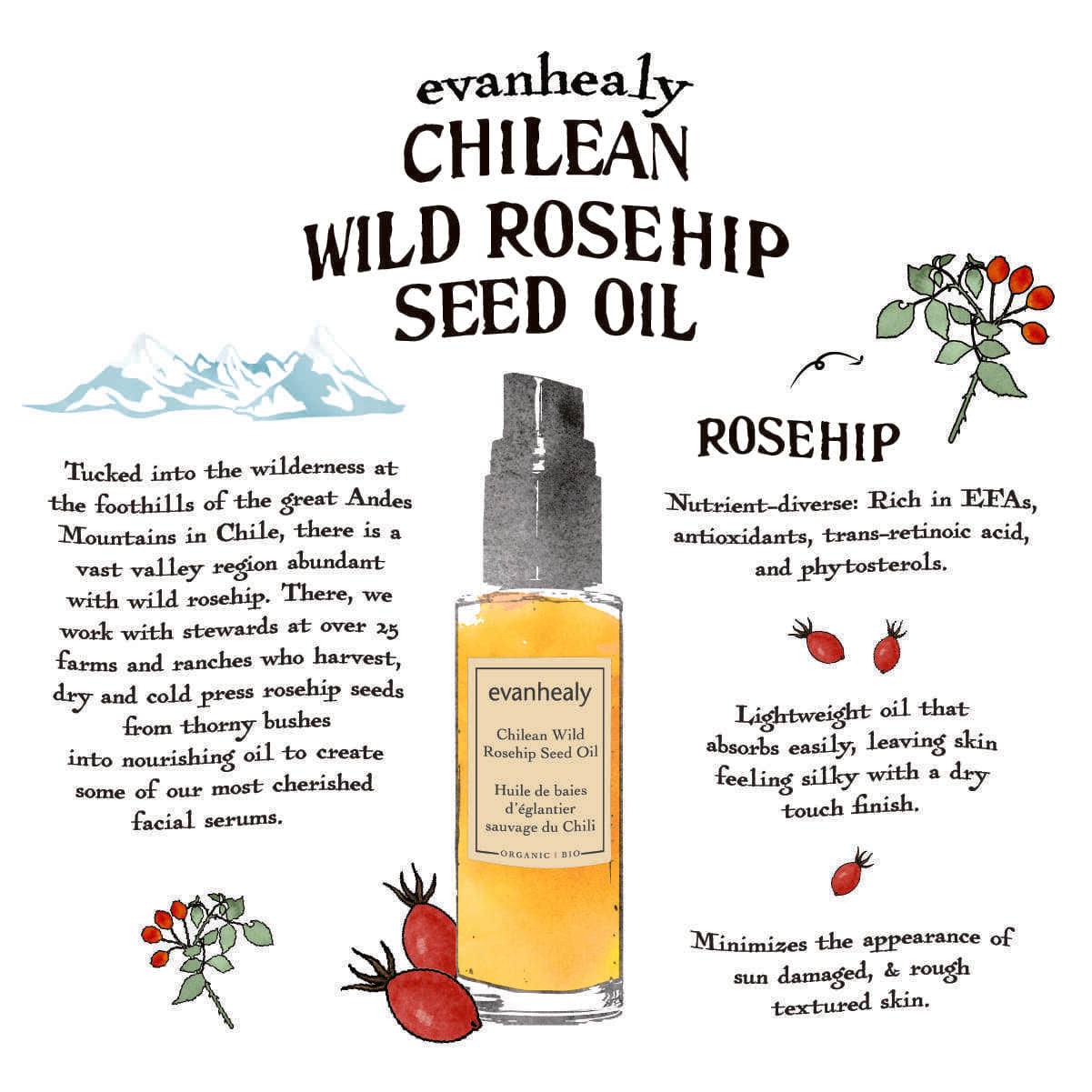 Chilean Wild Rosehip Seed Oil