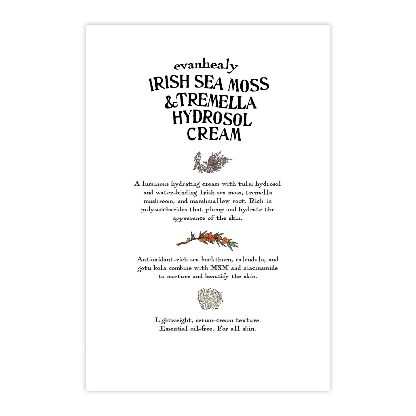 Back of 4 by 6 postcard with text about Irish Sea Moss and Tremella Hydrosol Cream