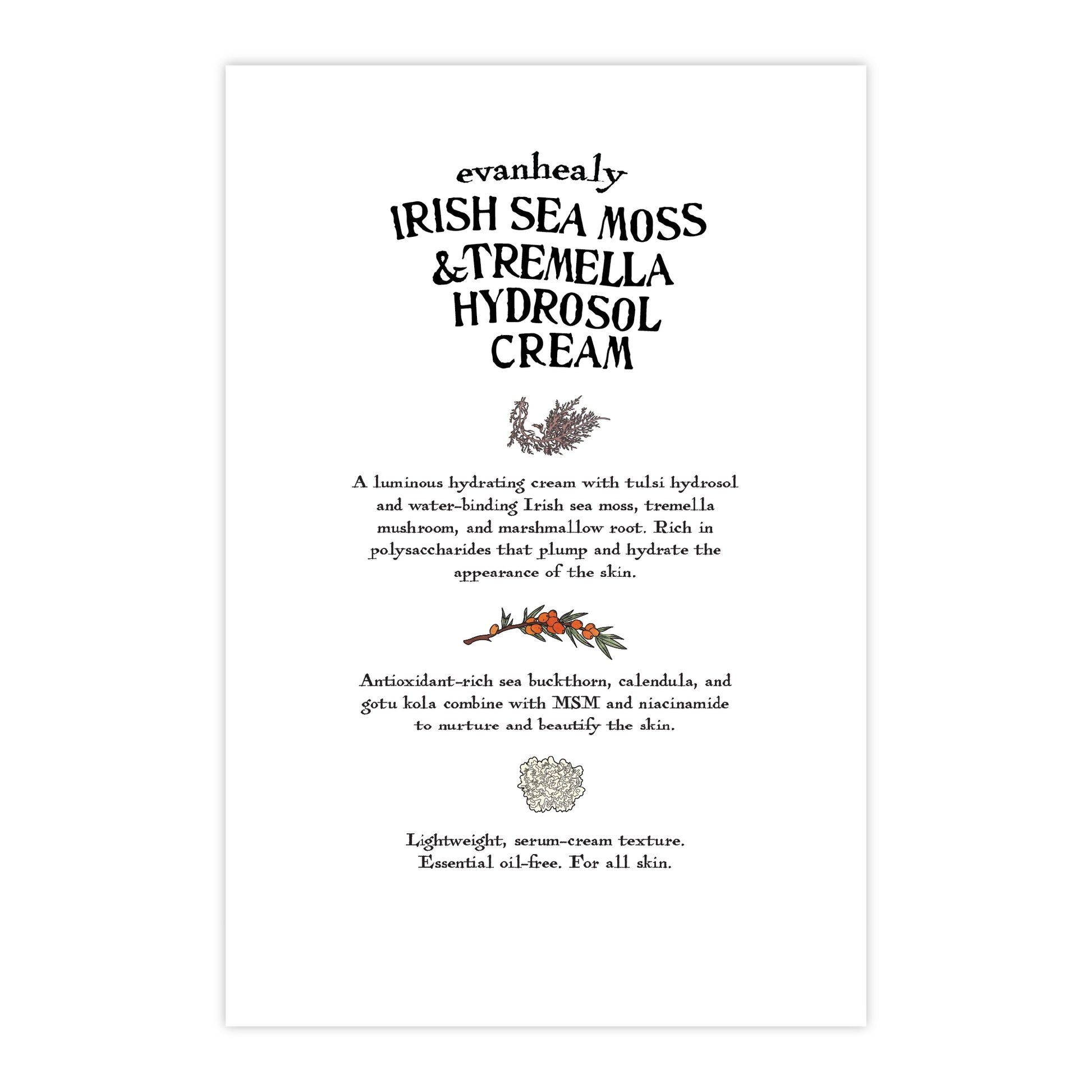 Back of 4 by 6 postcard with text about Irish Sea Moss and Tremella Hydrosol Cream