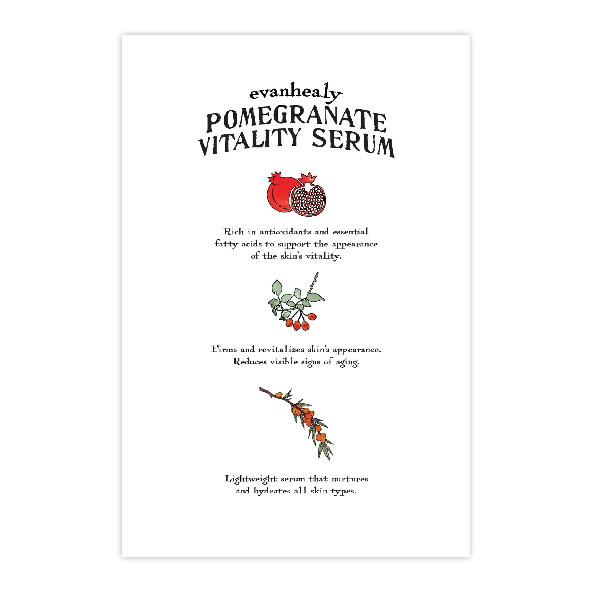 Back view of 4x6 Pomegranate Vitality Serum folklore postcard with centered text and botanical illustrations on white