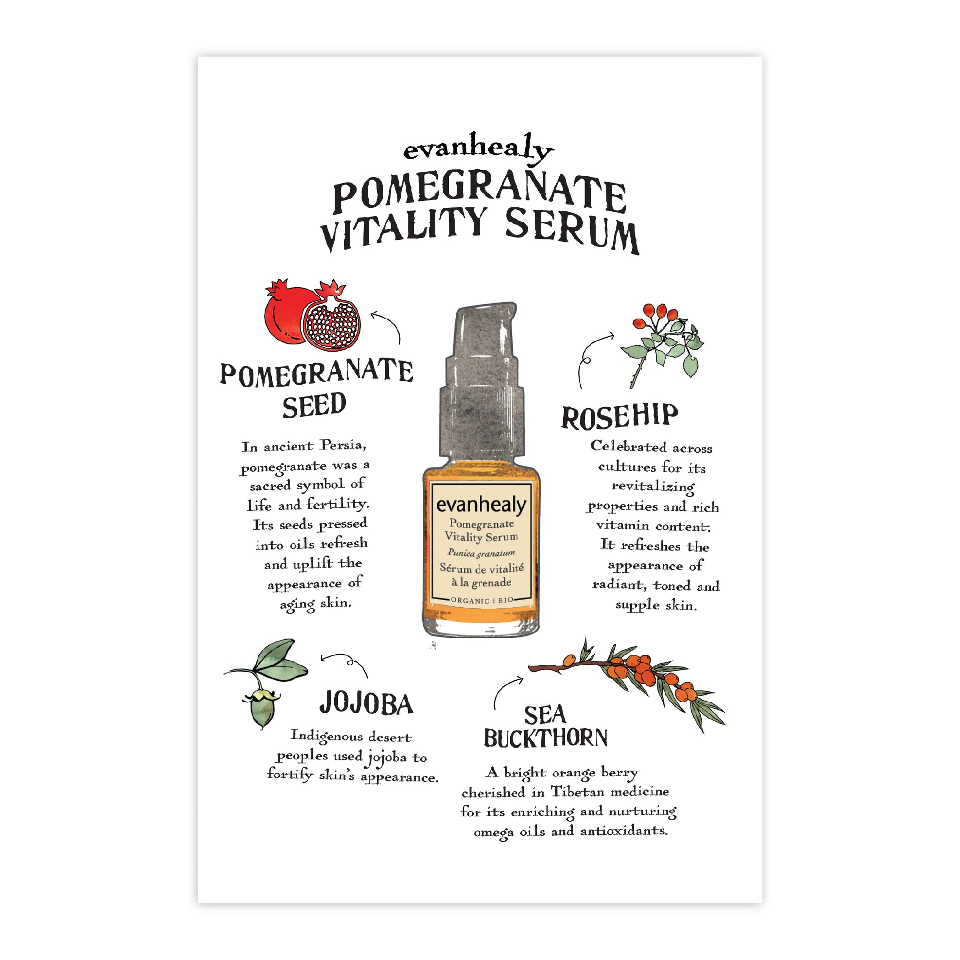 Front view of Folklore card Pomegranate Vitality Serum showing an illustrated serum bottle and labeled ingredient sketches on a white background