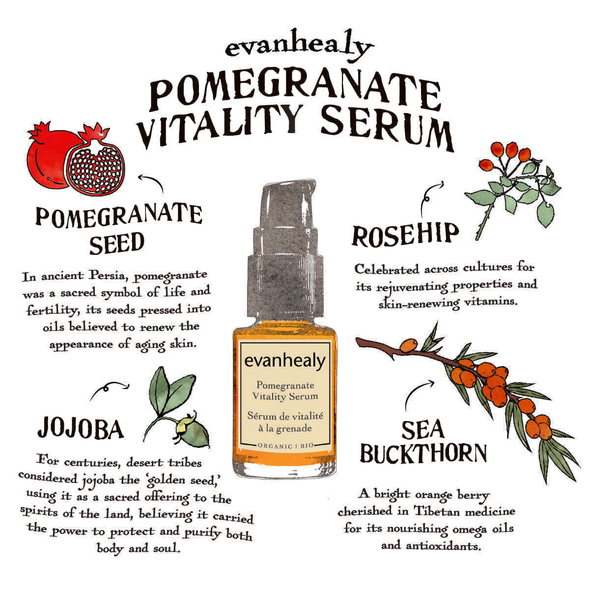 Pomegranate Vitality Serum