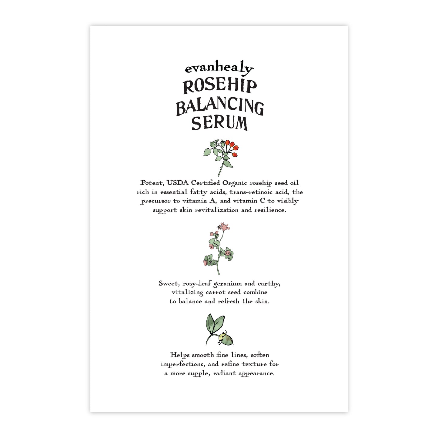 Back of Rosehip Balancing Serum folklore postcard showcasing printed skincare text on a white background
