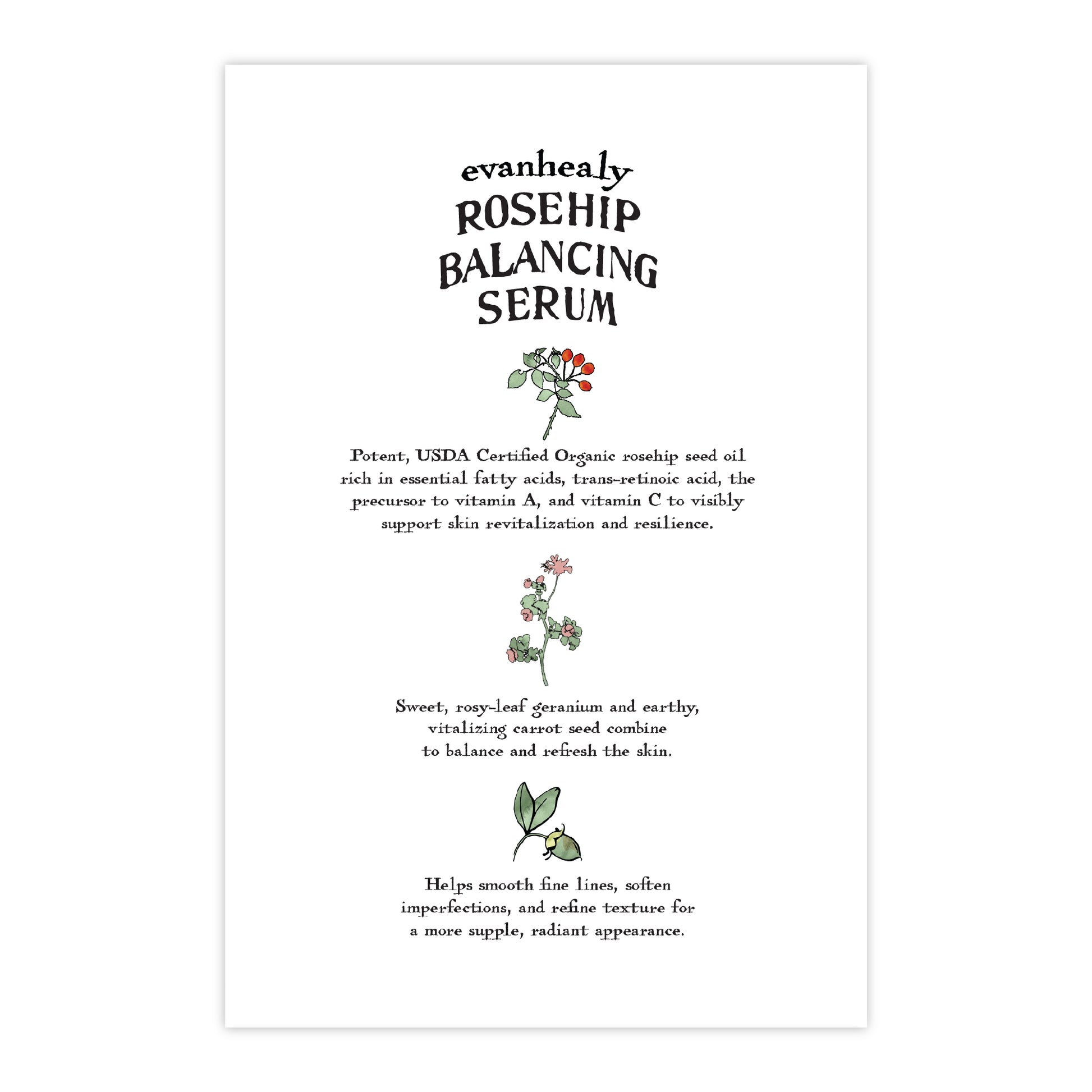 Back of Rosehip Balancing Serum folklore postcard showcasing printed skincare text on a white background