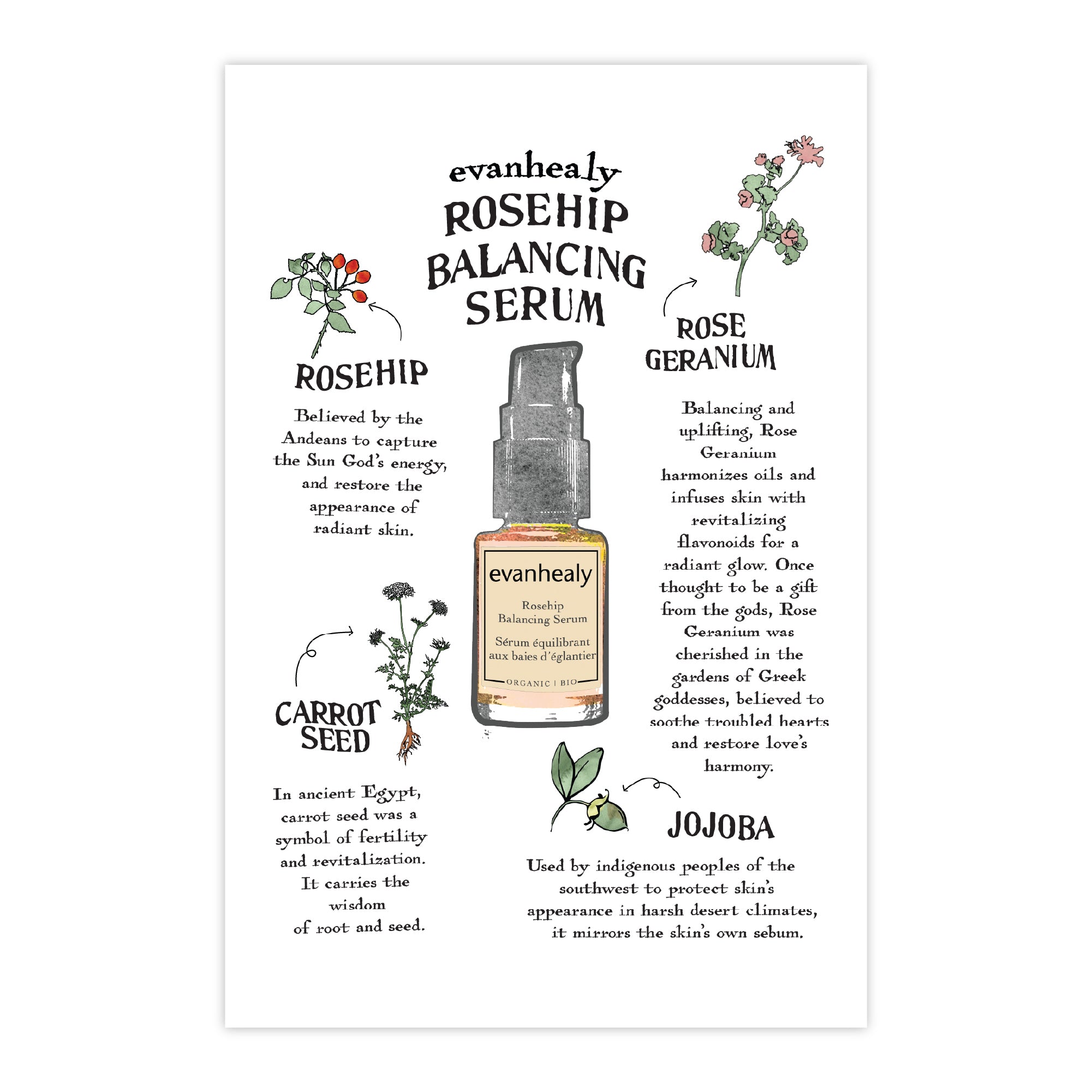 Postcard - Rosehip Balancing Serum Folklore - 4x6 – evanhealy